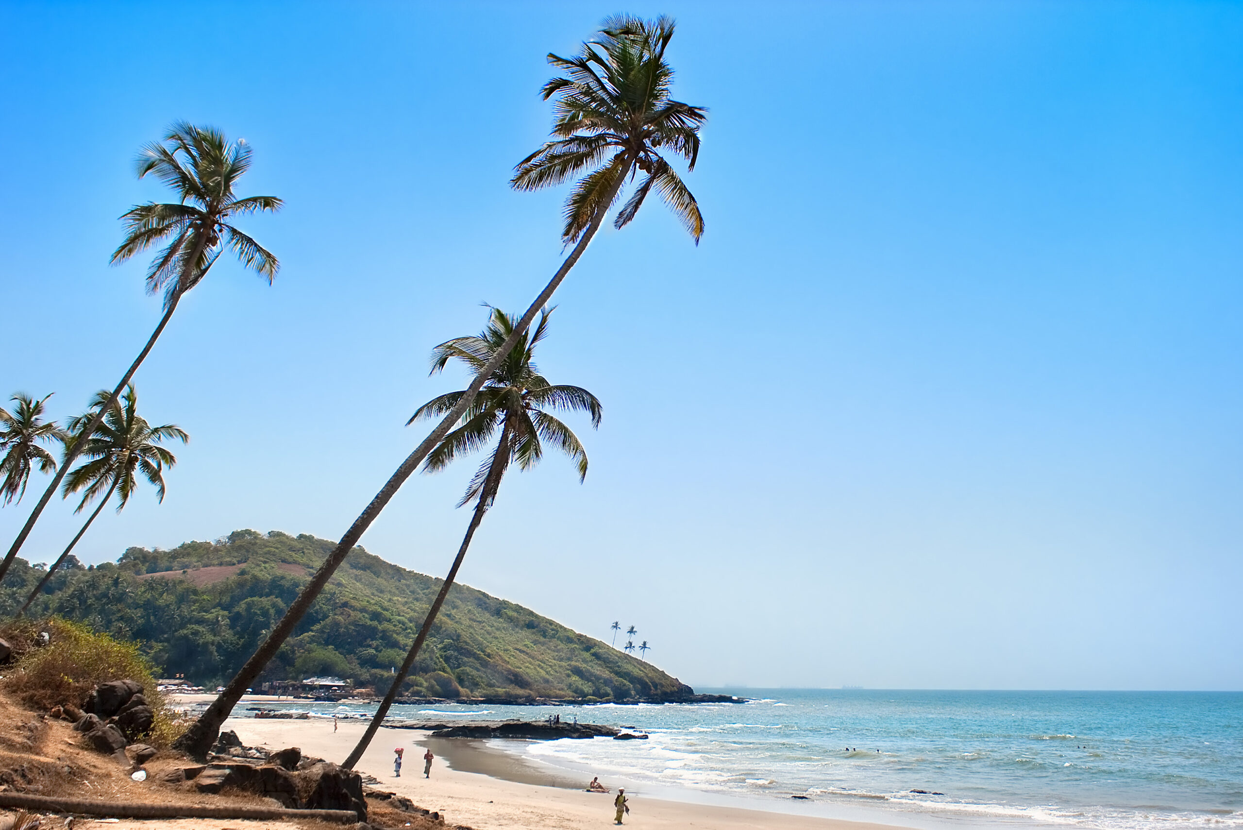 The Beach Haven