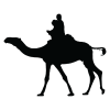 Camel Riding